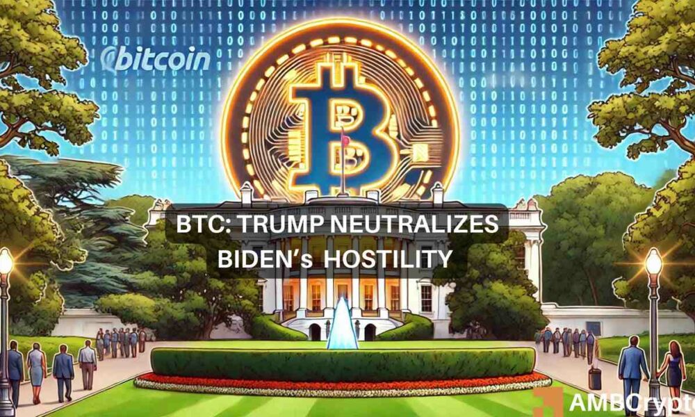 ‘Trump has positioned himself as the candidate that’s pro-Bitcoin:’ Exec