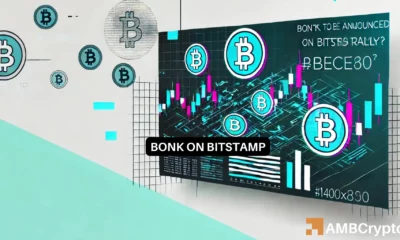 Bitstamp to list BONK - Memecoin rises 2% already, more on the way?