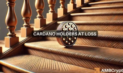 Cardano's struggle: 74% of ADA addresses now hold losses