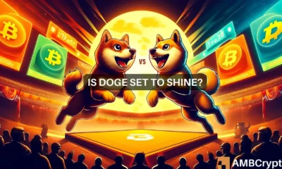 Dogecoin vs Shiba Inu: Which meme coin is set to dominate the market in June?