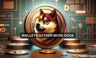 Dogecoin whales buy up more amid price declines