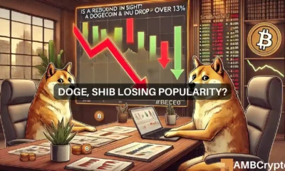 Dogecoin and Shiba Inu losing popularity?