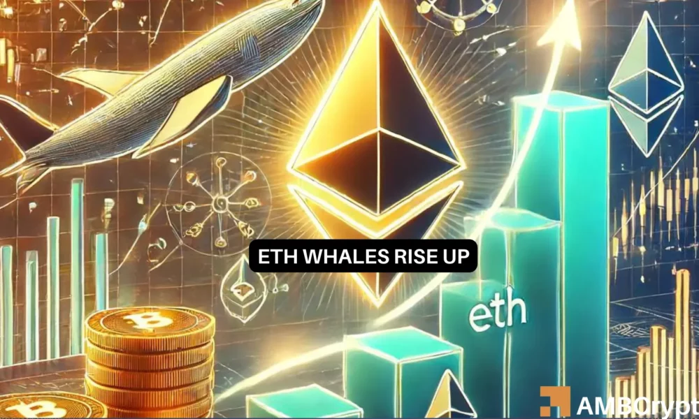 Akankah harga Ethereum naik seiring meningkatnya minat terhadap ikan paus?