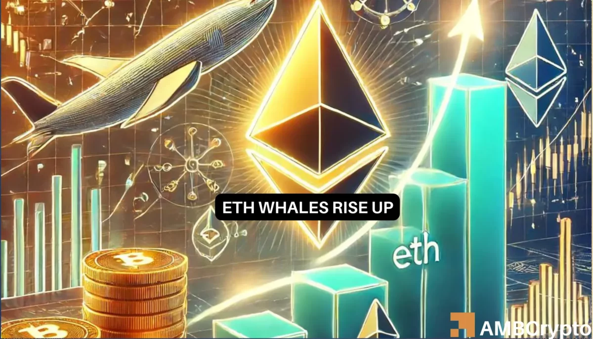 Will the price of Ethereum grow as whale interest rises?