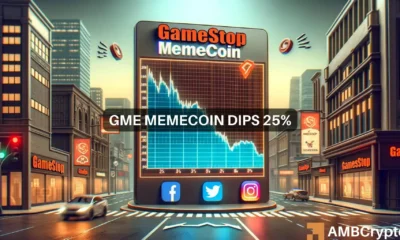 GME memecoin dips 25%