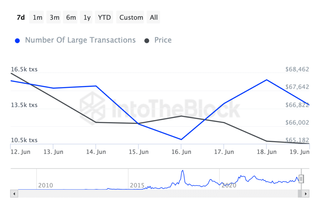 Bitcoin number of large transactions