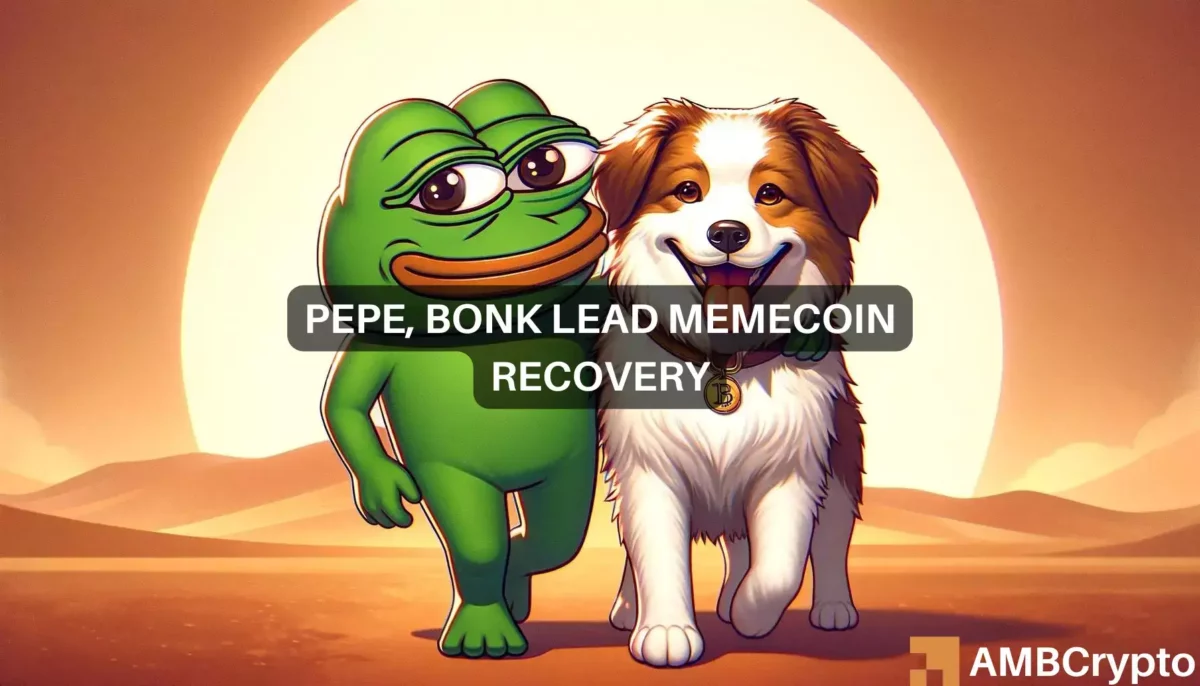 Amidst market slide, Pepe and Bonk rally to lead Memecoin comeback