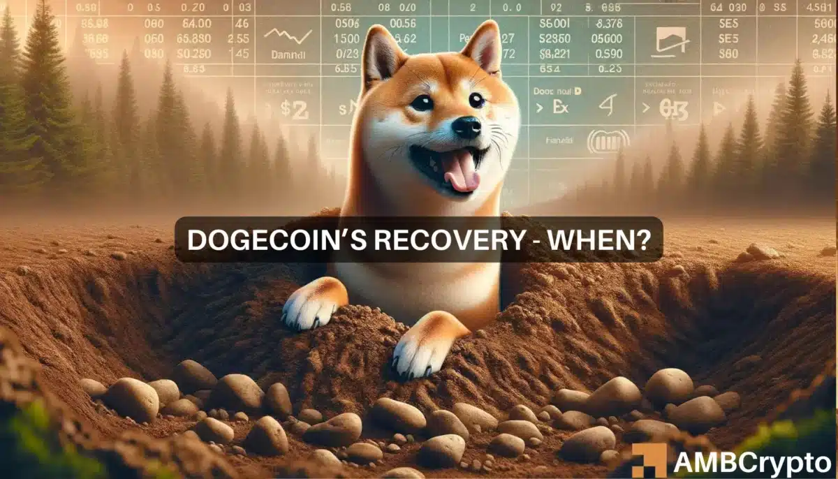 Dogecoin's price recovery - Identifying the real odds of that happening