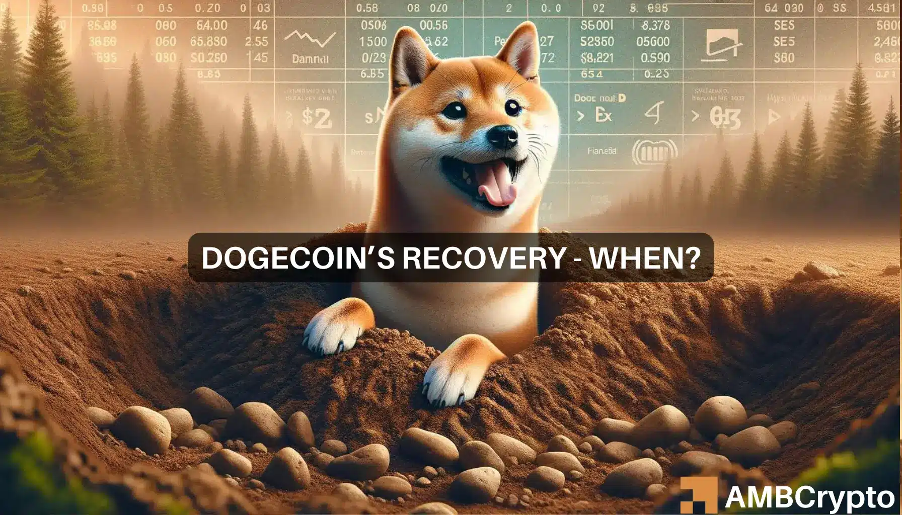 Dogecoin’s price recovery – Identifying the real odds of that happening