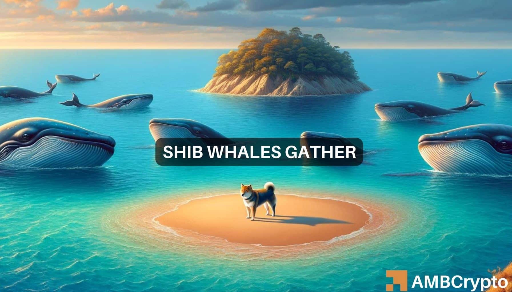 Shiba Inu: What rising whale interest tells us about SHIB’s future