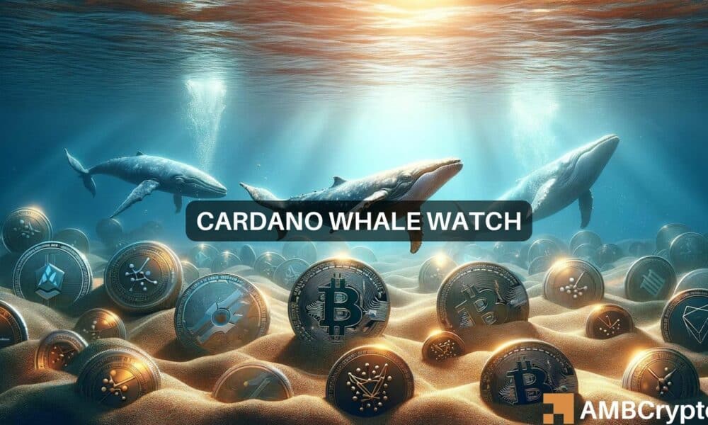 Cardano eyes alt=