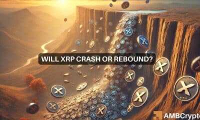 Will XRP Crash or Rebound?