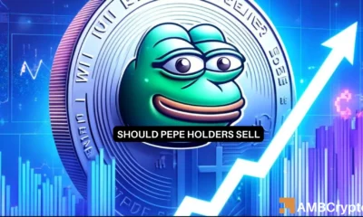 PEPE's re-flip - Everything that helped the memecoin in May