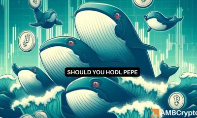PEPE whales buy the dip, but is that enough for the memecoin?
