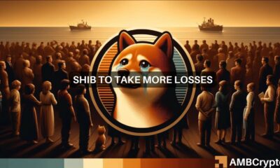 Shiba Inu's [SHIB] 10% plunge in 7 days, explained