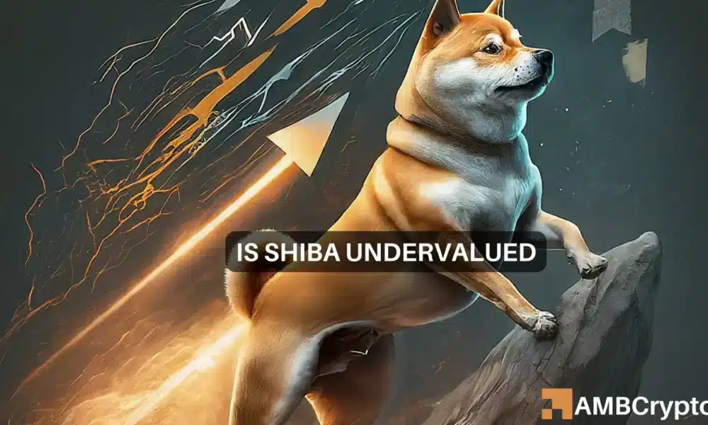 Shiba Inu’s price – Undervalued or not depends on THIS factor