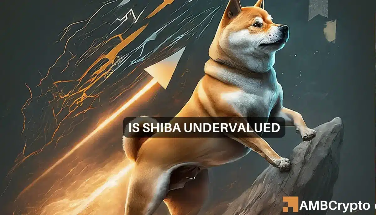 Shiba Inu's price - Undervalued or not depends on THIS factor