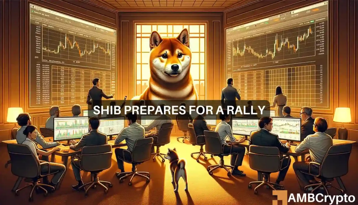 Shiba Inu prepares for a rally