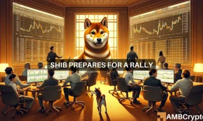 Shiba Inu prepares for a rally