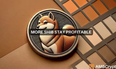 Shiba Inu's decline narrows profitability gap: Latest holder stats