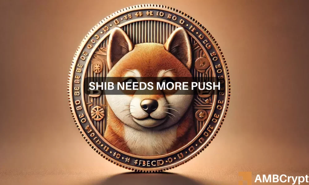 Shiba Inu pauses after a 21% slide: Can it spark a turnaround?