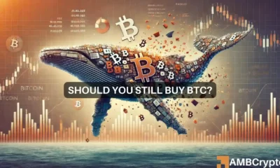 Is it time to buy Bitcoin after whales shed their positions?