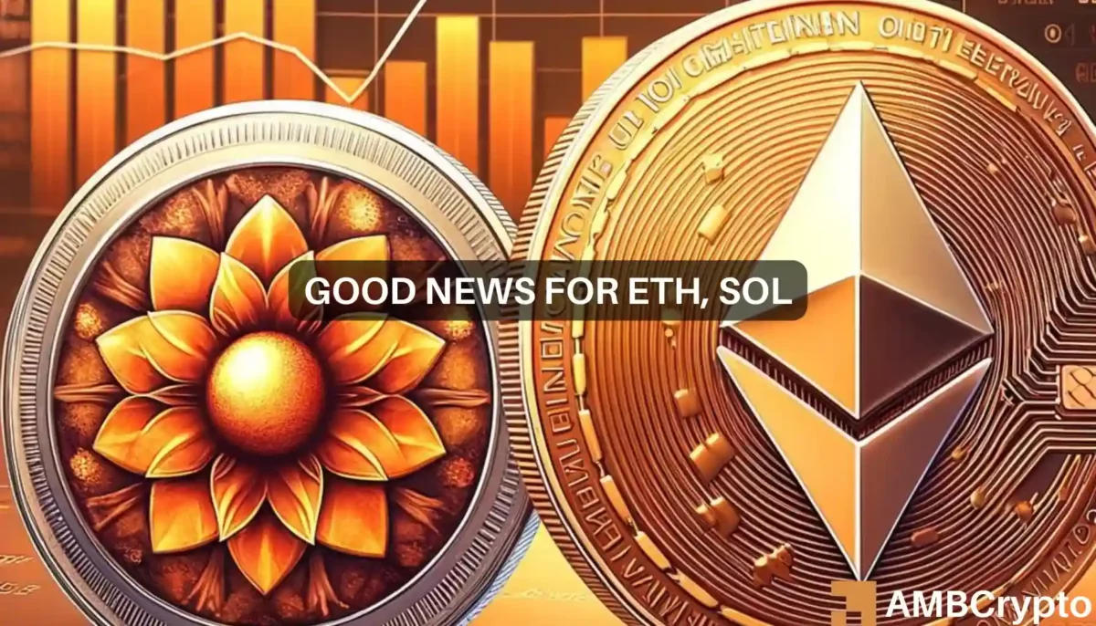 May's market analysis: Ethereum and Solana experience highest gains