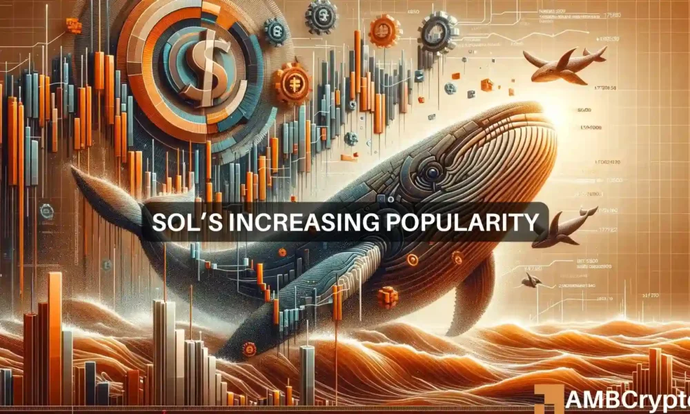 Solana's increasing popularity