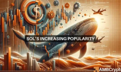 Solana's increasing popularity