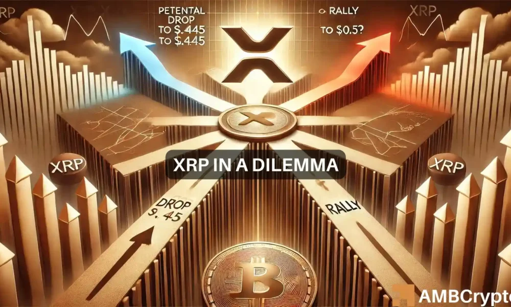 XRP at a crossroads: A drop to $0.445 or rally to $0.5 next?