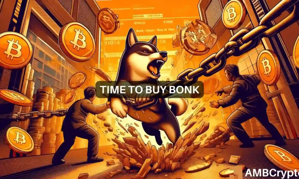 BONK: Is now a rare chance to ‘buy the dip’?