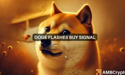 Dogecoin whales make strange moves: Is it time to buy DOGE?