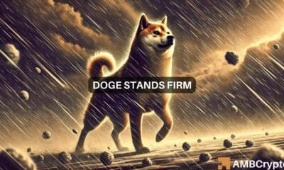 Dogecoin remains strong despite massive liquidation: Here's why