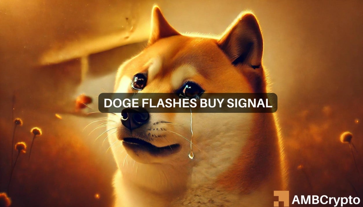 Dogecoin whales make strange moves: Is it time to buy DOGE?