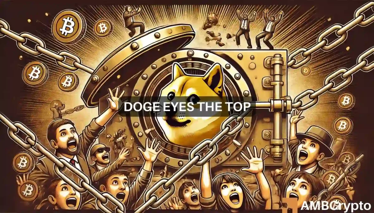 Dogecoin HODLers stay firm: What this tells us about DOGE's future