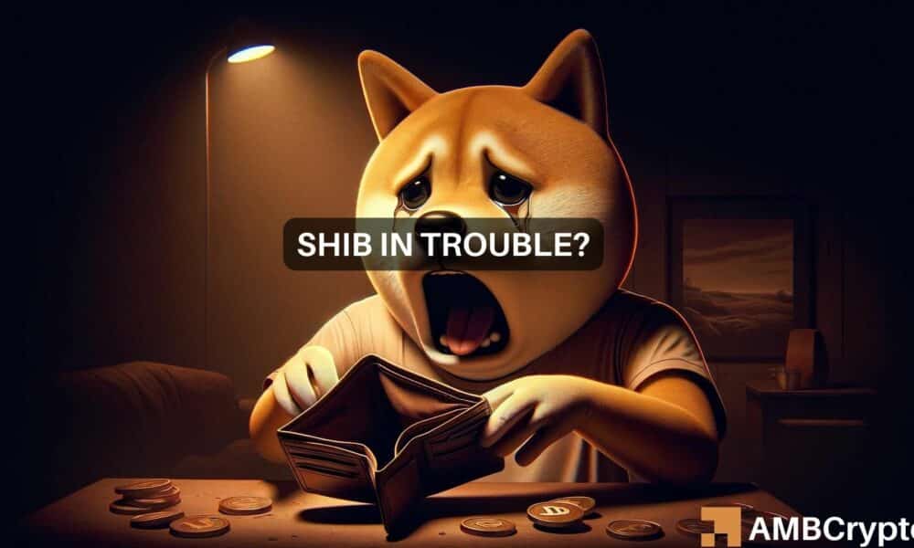 Shiba Inu: Are more losses coming? Analyzing SHIB’s key levels