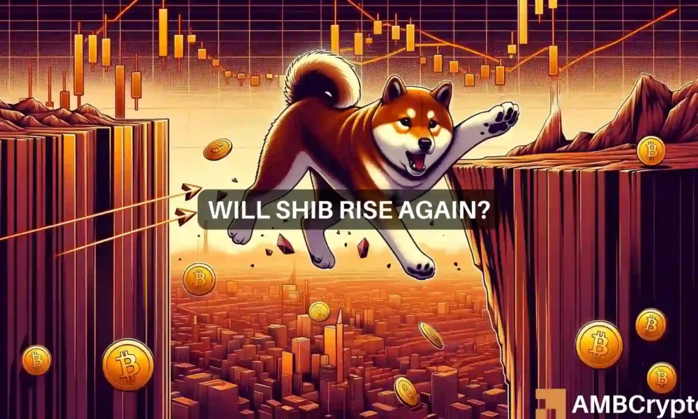 Why a Shiba Inu drop to $0.000020 might be inevitable if this happens…