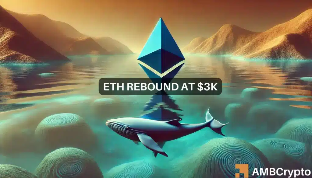 Whale Accumulation Fails to Reverse the Ethereum Bearish Trend