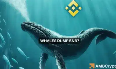 Binance whale knocks the altcoin down further: Will BNB ever recover?