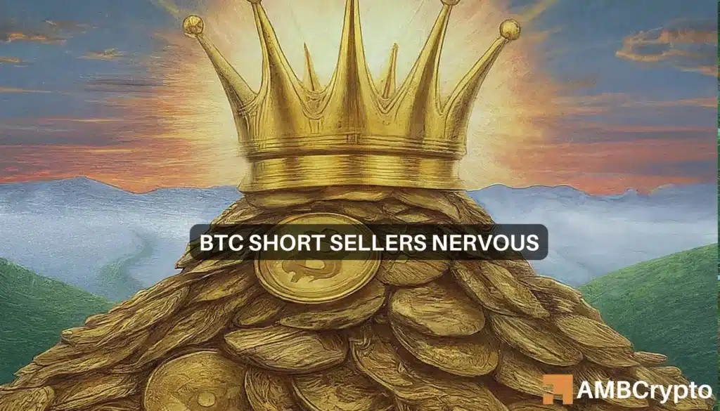 Bitcoin bears