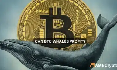 Bitcoin whales 'buy the dip' to leave retail investors...