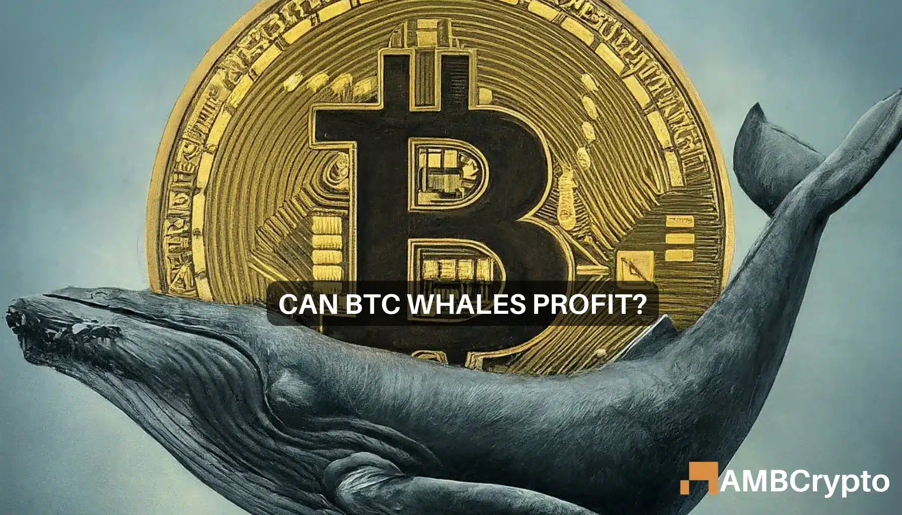 Bitcoin whales ‘buy the dip’ to leave retail investors…