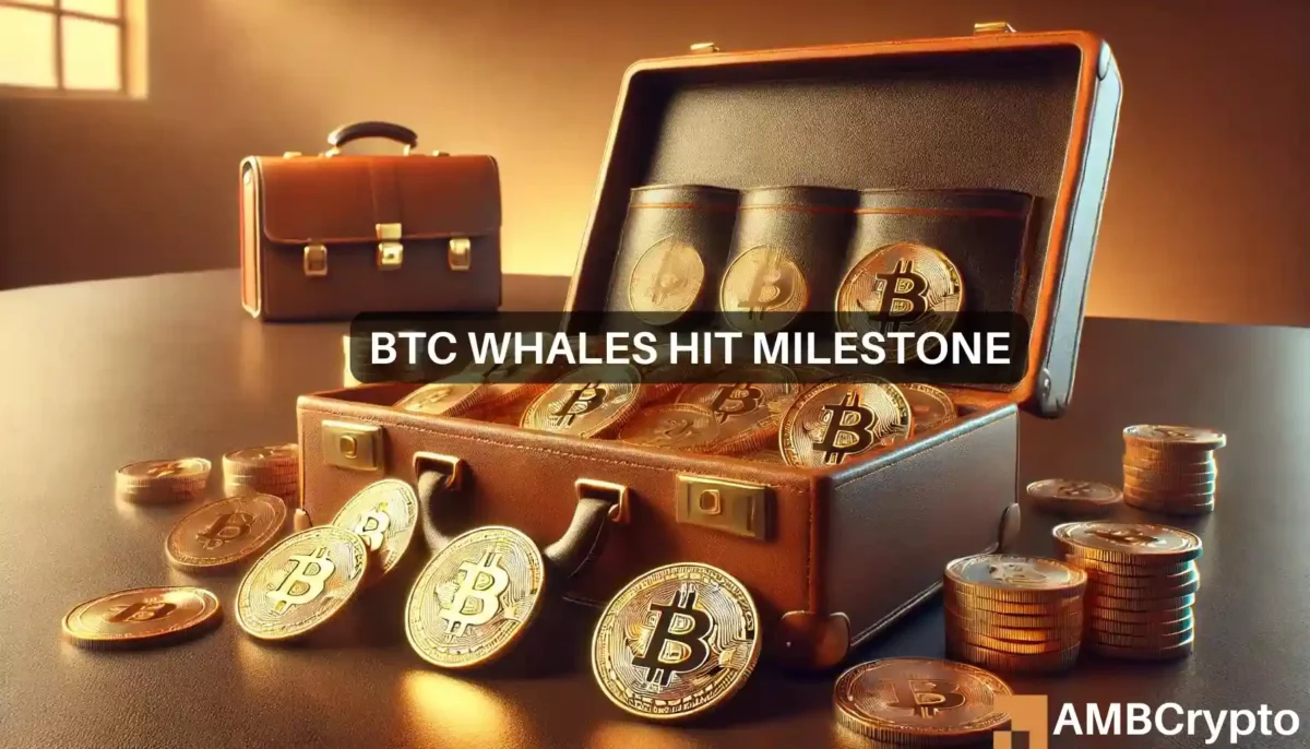 Bitcoin whales hit record $529 billion holdings as prices soar