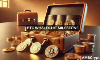 Bitcoin whales hit record $529 billion holdings as prices soar