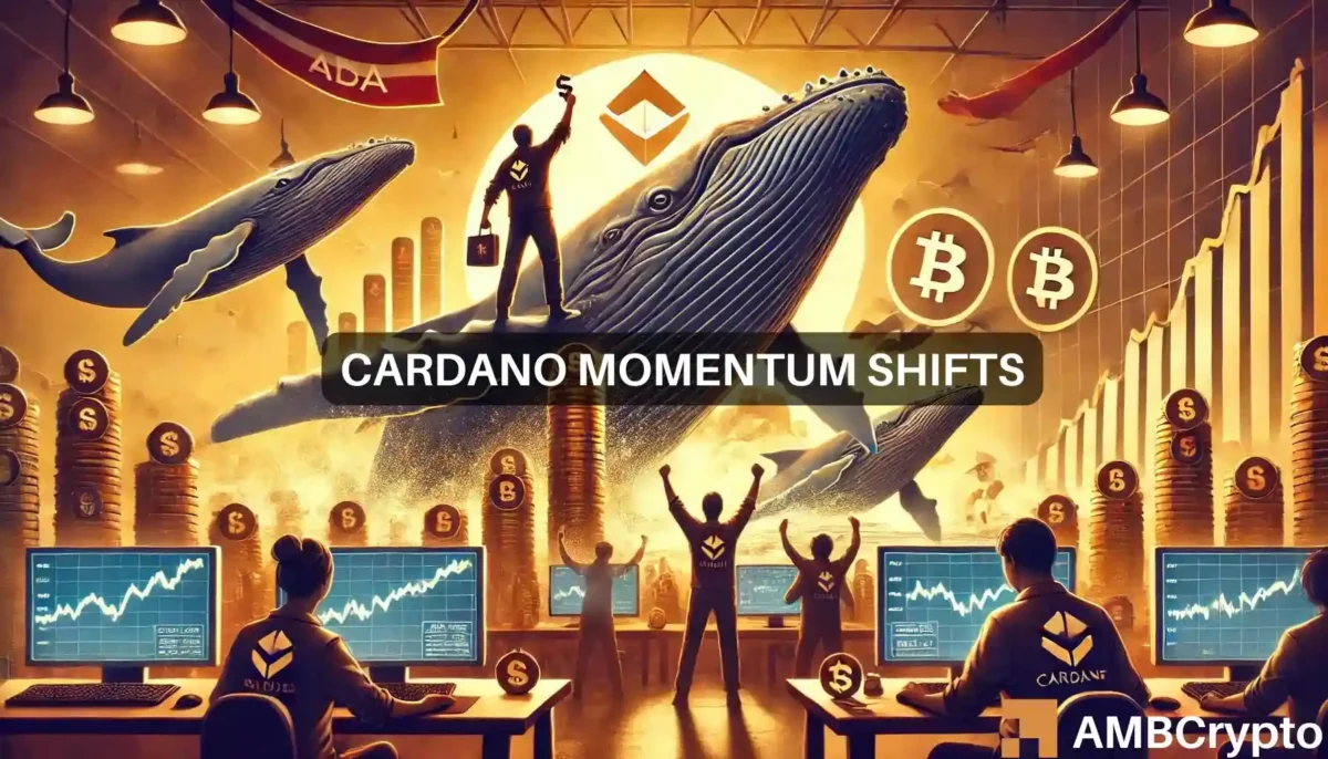 Cardano