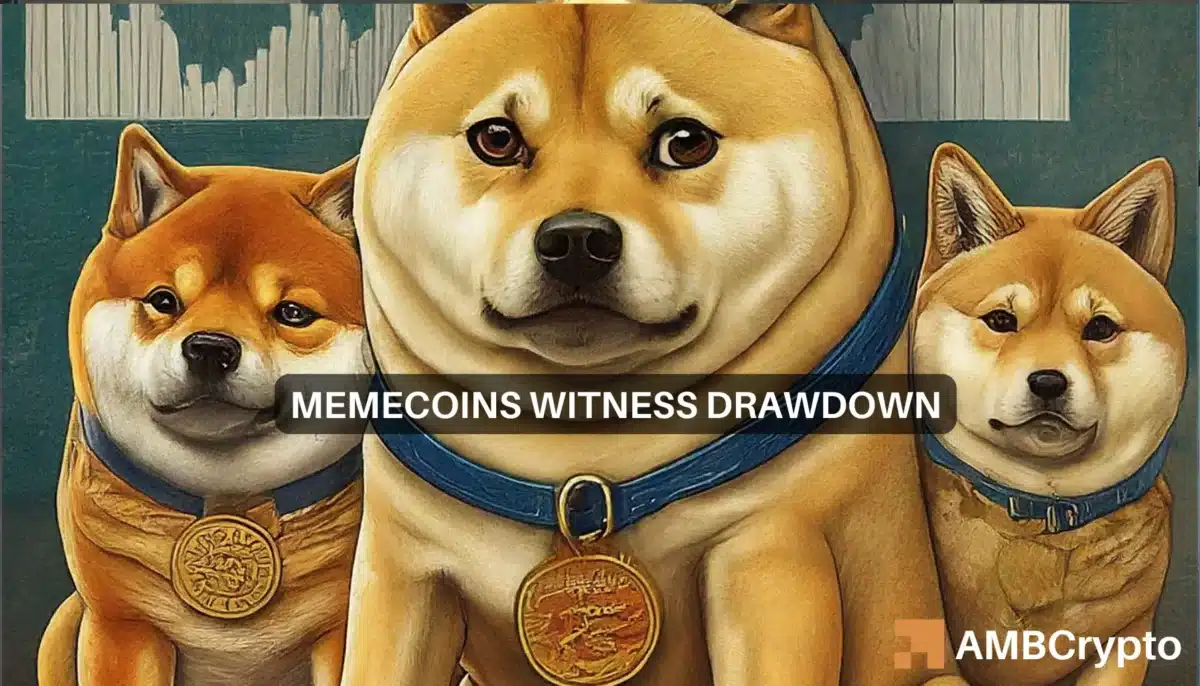 Why are memecoins down today?