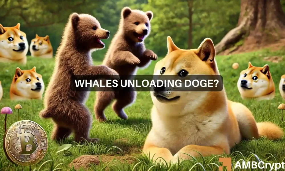Dogecoin-Marktbeobachtung: Ist eine Rallye inmitten des Walverkaufs möglich?