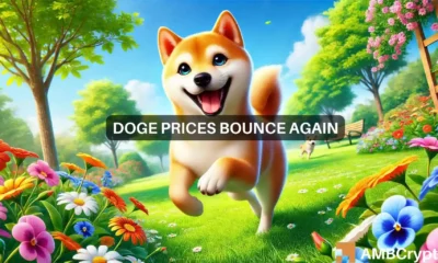 Dogecoin traders, look out for Bitcoin's effect on the memecoin because...