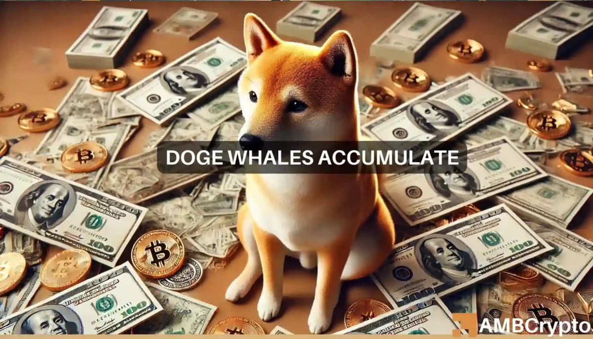 Betting on Dogecoin: Why DOGE is a whale favorite this month