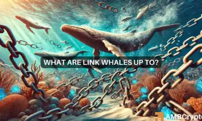 Chainlink: Despite rising whale activity, why LINK remains bearish